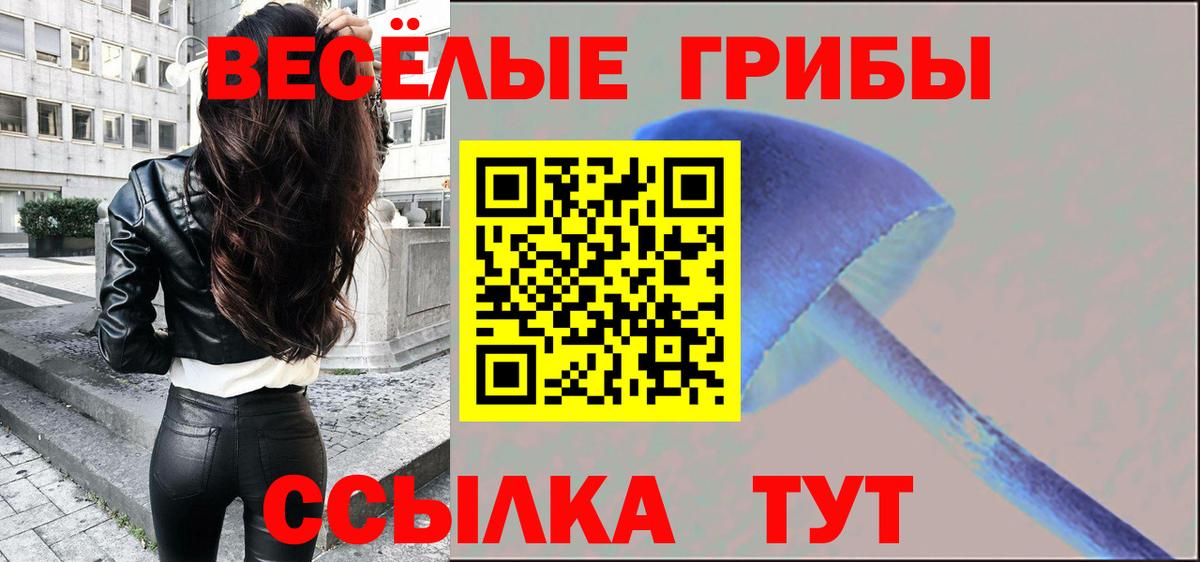 купить закладку  Галлюциногенные грибы Magic Shrooms  Вход с VPN  Абинск 